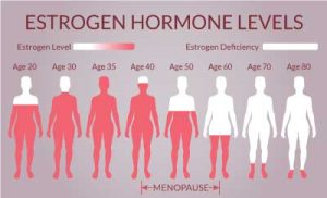 Estrogen Hormone Levels