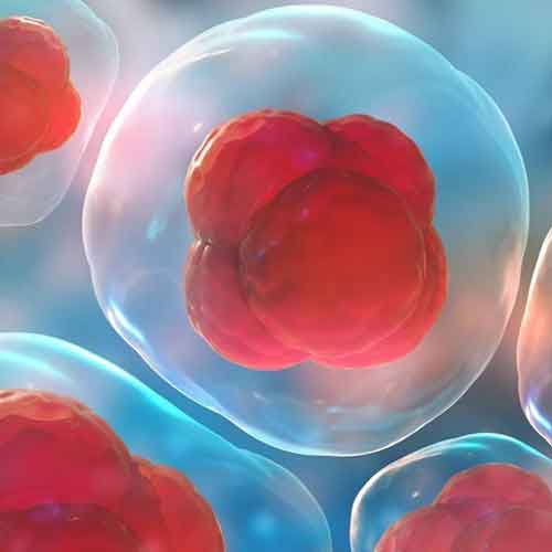 STEM-CELL-THERAPY